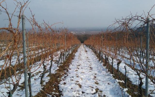 Vár-Lak