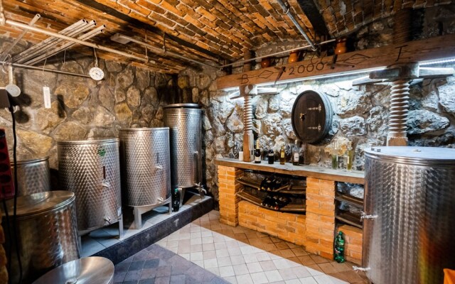 Vineyard Cottage Bregac