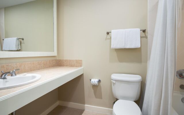 Luau I 6501 - flr5 - Studio 1BA - (2)