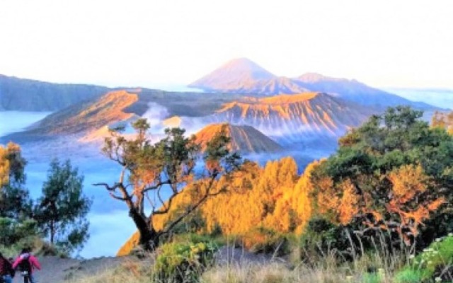 Intan Ijen Guest House