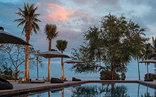 The Funny Lion - Puerto Princesa