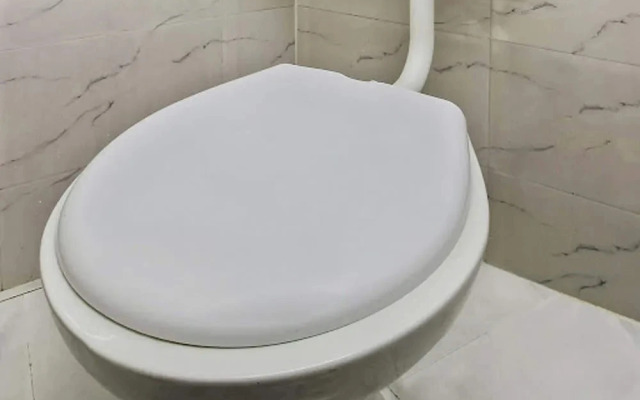 Oyo Townhouse 799 Royal Palms Hotel - Lily Collection