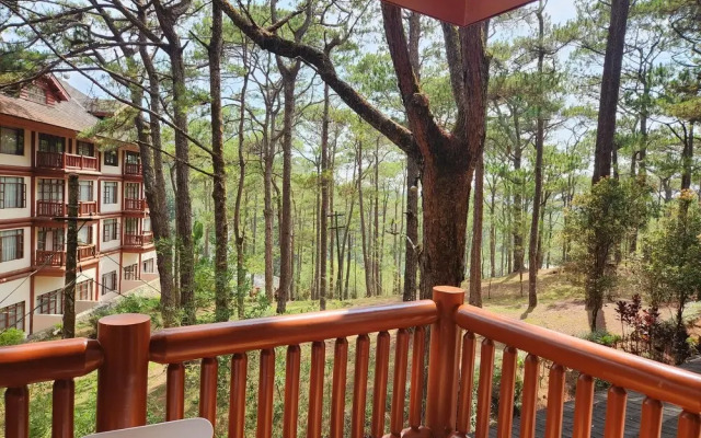 Camp john hay forest lodge