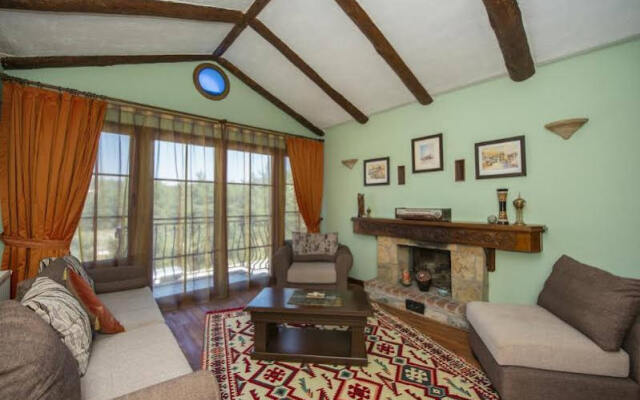 Olive Tree Studio