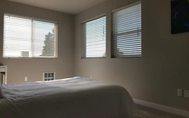 Seattle Urban Village