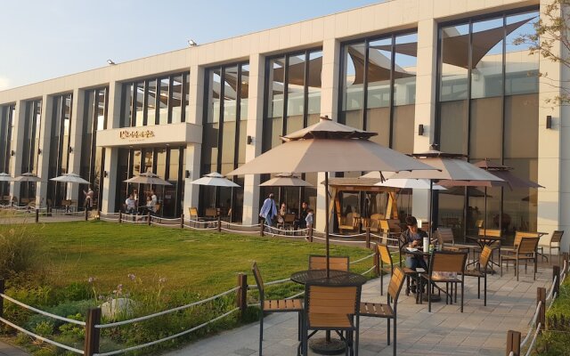 Friends Guesthouse - Hostel