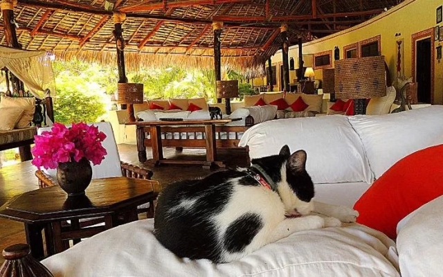 Lions House Boutique Hotel