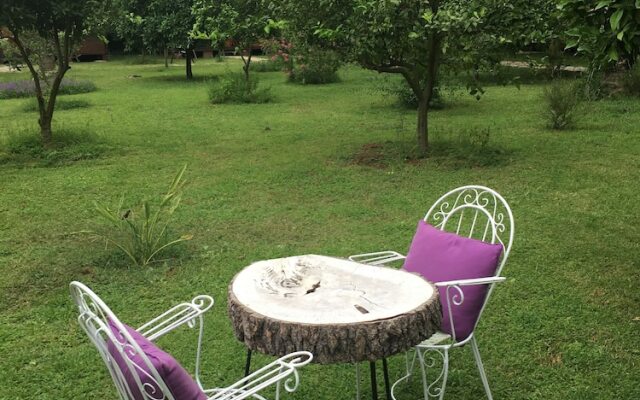 Ozge Hotel Bungalow