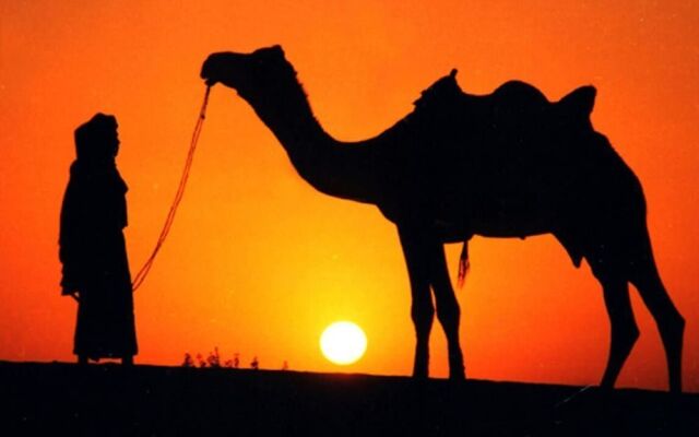 Bhawana Camp and Resorts