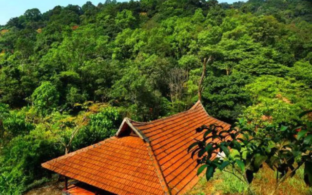 Rain Country Resort