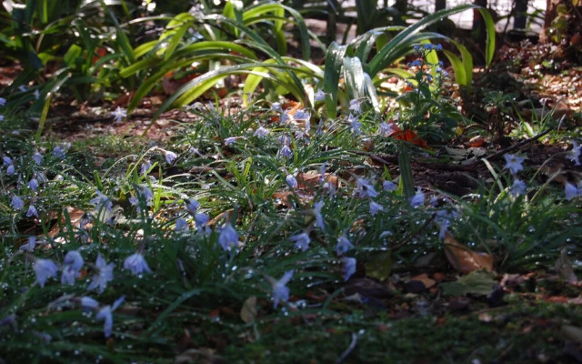 Twickenham Guest House