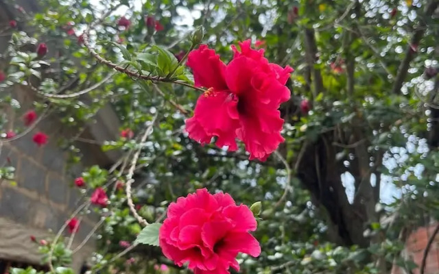 Casa Boutique Remolino