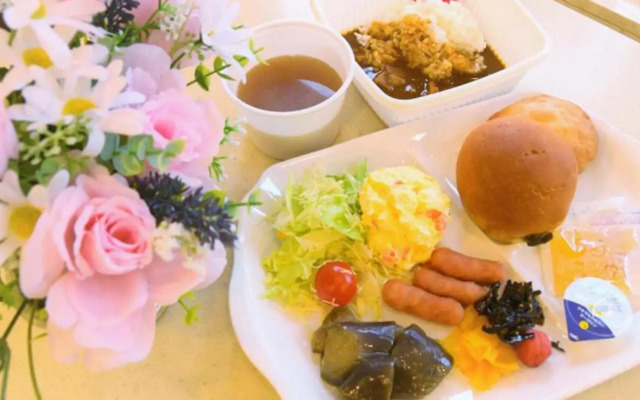 Toyoko Inn Osaka Itami Kuko