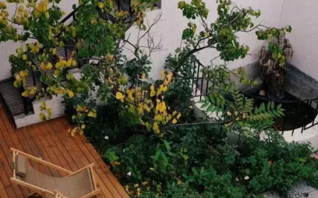 Tingfeng Courtyard Homestay