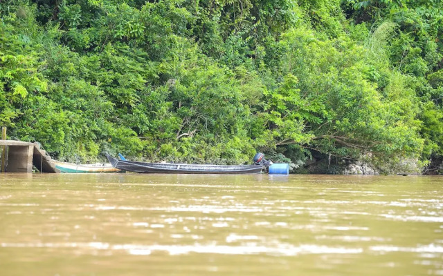 Hotel O Asiacamp Resort National Park Kuala Tahan