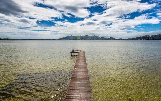 Girassóis da Lagoa