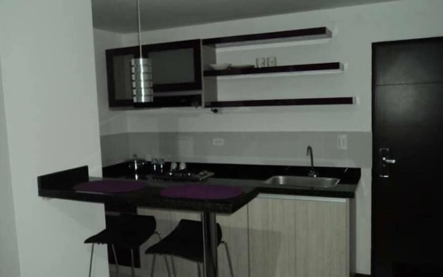 Hotel Plaza Norte
