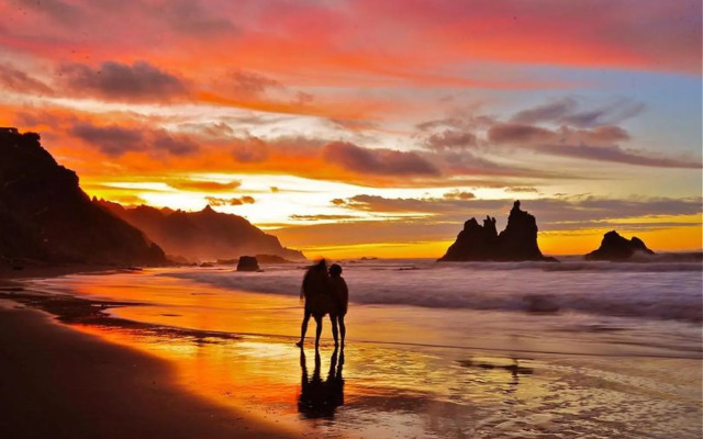 Céntrico y tranquilo apartamento con WIFI