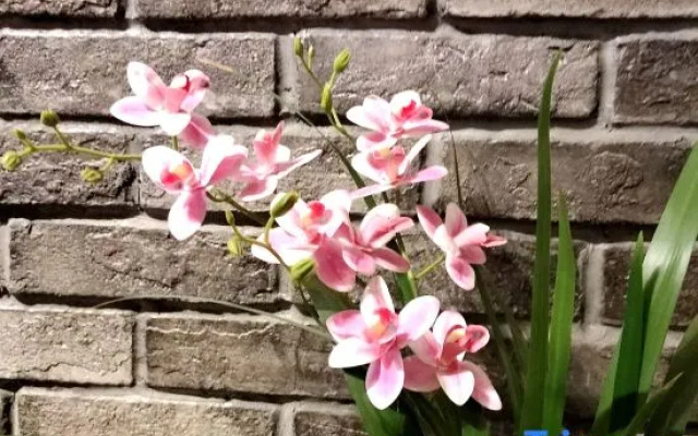 Dongguan Jiuni Zuihao Homestay