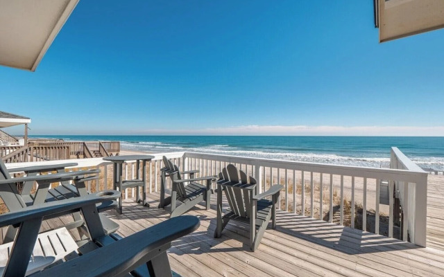 The Shark and the Seahorse