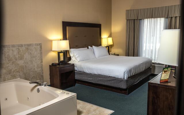 Holiday Inn Express Hotel & Suites Detroit-Novi by IHG
