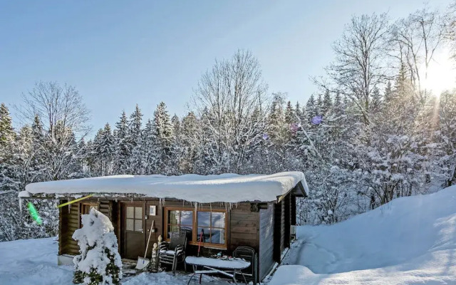 Chalet in Worgl Near Ski Bus Stop