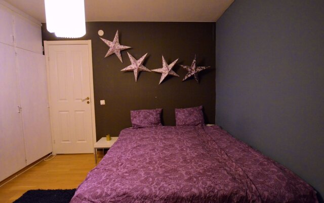 Nordic Borealis House