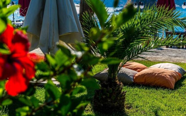 Palmetto Resort Hotel