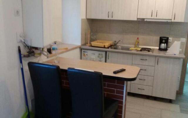 Apartament central V&P