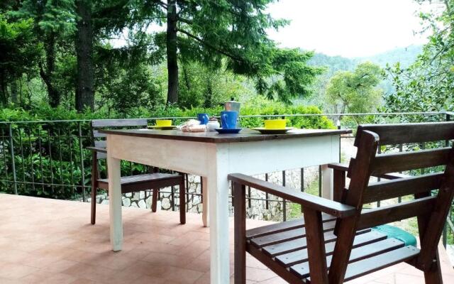 Casa Del Bosco - Civico 36