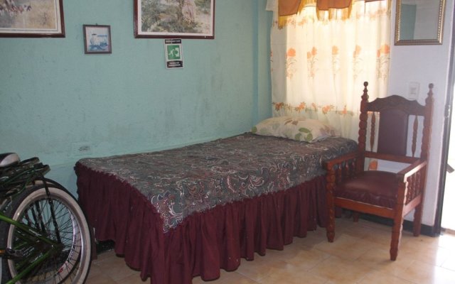 Room in Guest Room - Posada Green sea Villa Helen Kilometer 4 Bypass