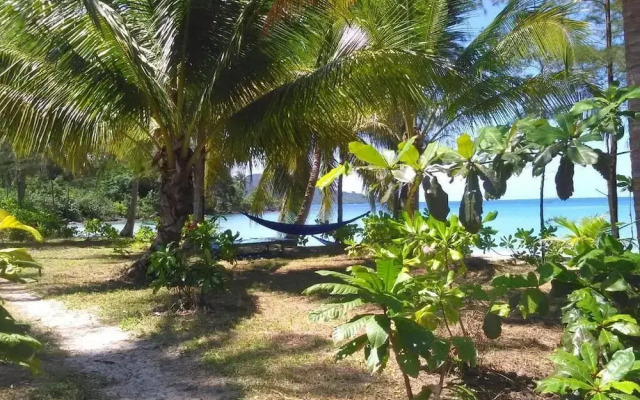 Lonely Beach