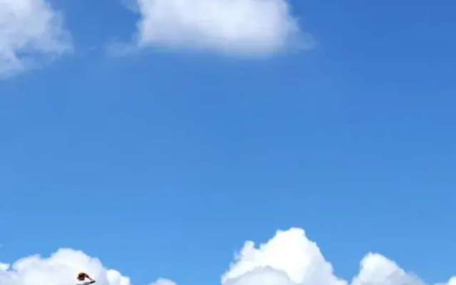 Barley Aroma of Pettty Farmer