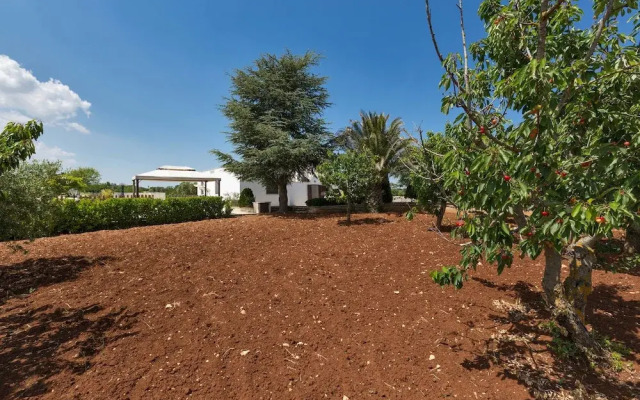 Casa dell'ulivo Alberobello