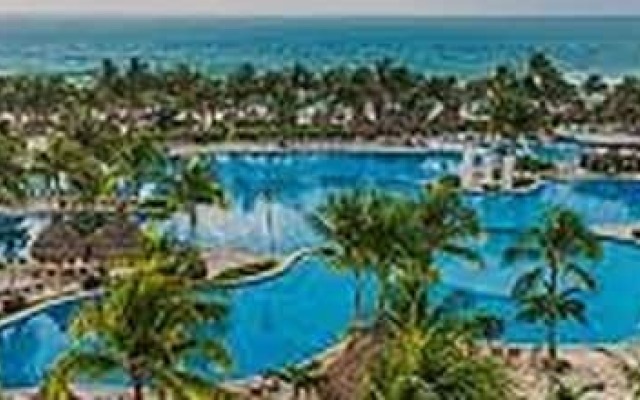 Vida Maya by Dicasi RM