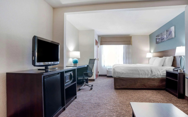 Sleep Inn & Suites Auburn Campus Area I-85