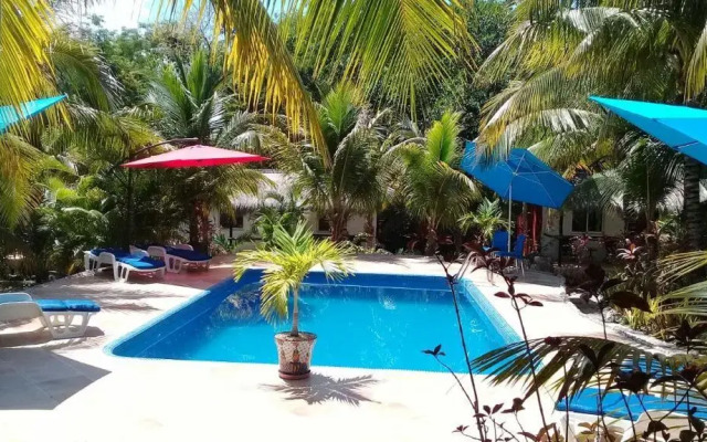 Casa de Las Tortugas I Tour Akumal