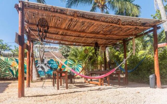 Mapache Hostel