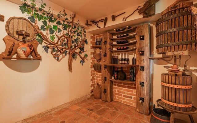 Vineyard cottage Rataj 2