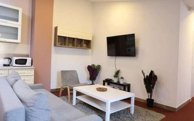 Belgrade Center Apartment Nusiceva