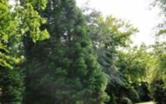 The Willows Bed and Breakfast