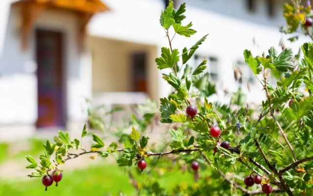 Welcoming Apartment in Hilscheid with Garden