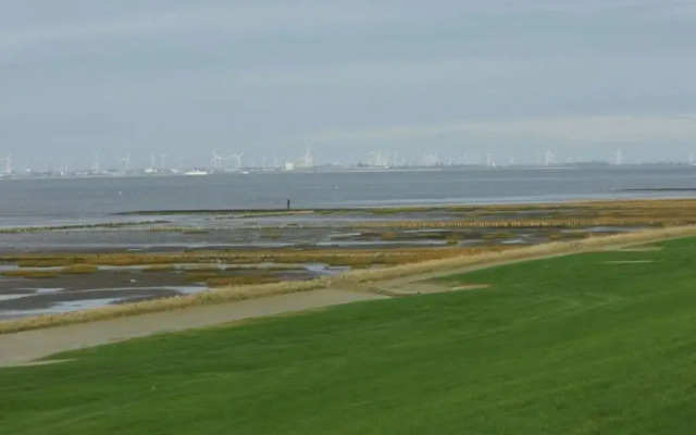 Sky Blue Comfortable Holiday Residence