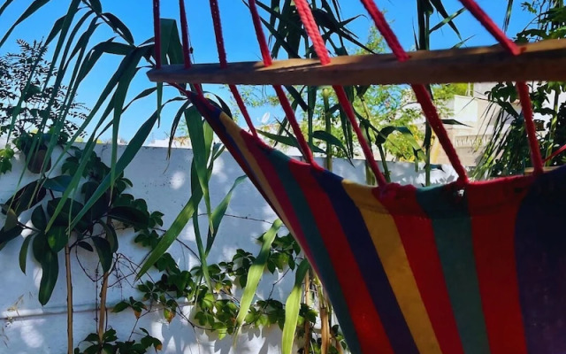 Chill Garden Experience