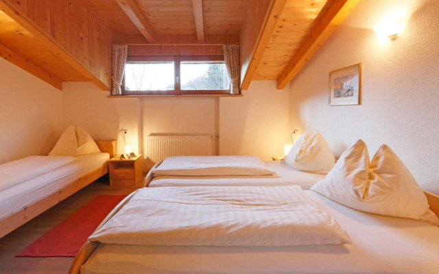 Chalet Appartement Zingerlehof Trens