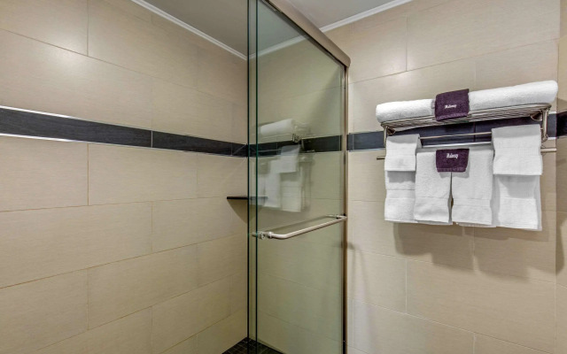 Quality Inn Center City