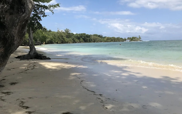 Bocas Beach Club & Suites