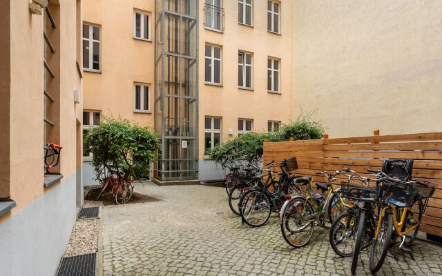 Numa Berlin Kater