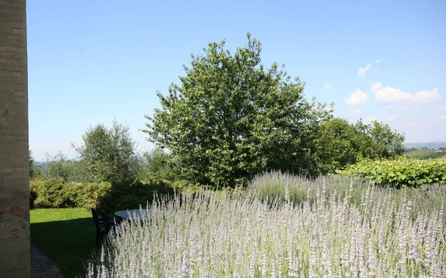 Podere il Pino