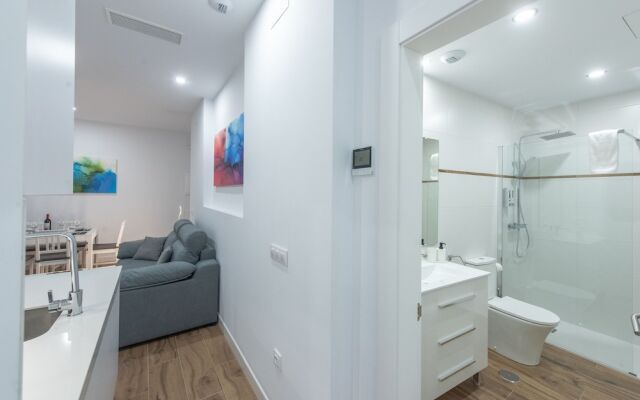 Apartamentos Santa María 15